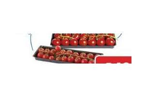 l amuse troscherrytomaten of red nature trostomaten