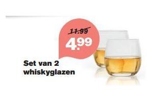 set van 2 whiskyglazen