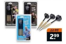 professionele master dartset