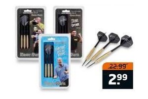 professionele master dartset