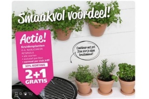 kruidenplanten