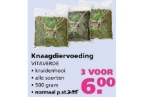 knaagdiervoeding