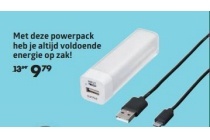 powerbank