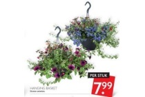 hanging basket