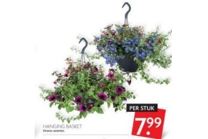 hanging basket