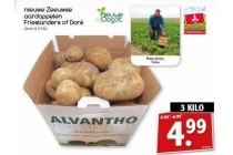 nieuwe zeeuwse aardappelen frieslanders of dore