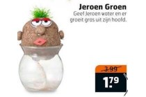 jeroen groen