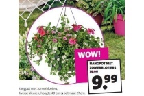 hangpot met zomerbloeiers