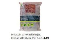 intratuin aanmaakblokjes fsc 200st