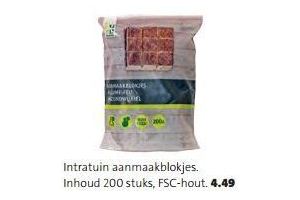 intratuin aanmaakblokjes fsc 200st