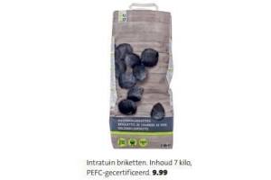 intratuin houtskoolbriketten 7kg