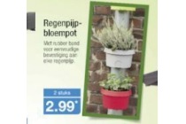 regenpijpbloempot