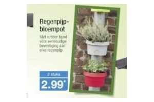 regenpijpbloempot