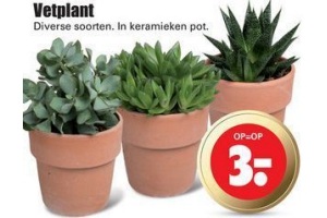 vetplant