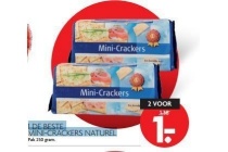 1 de beste mini crackers naturel