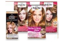 poly palette en schwarzkopf uitgroeiset