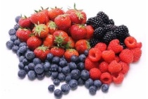 hollands zomerfruit