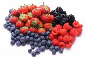 hollands zomerfruit
