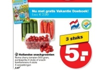hollandse snackgroenten