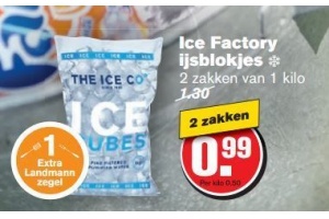 ice factory ijsblokjes