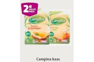 campina kaas