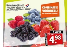 hollands zacht fruit frambozen aardbeien bramen of blauwe bessen