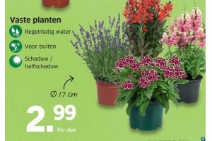 Vaste planten tot 03 juli 2016 - Beste.nl