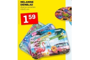 melamine dienblad
