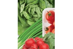 hollandse sla cherrytomaten radijs of bosui