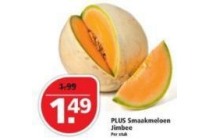 plus smaakmeloen