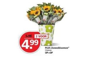 plus zonnebloemen