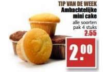 ambachtelijke mini cake