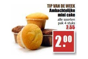 ambachtelijke mini cake