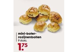 mini boter rozijnenbollen