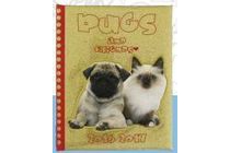 schoolagenda pugs