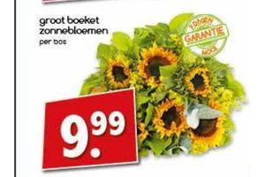 groot boeket zonnebloemen