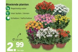 bloeiende planten