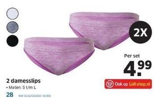 2 damesslips