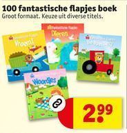 fantastische flapjes boek