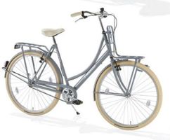 robuust karakter transportfiets