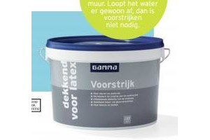 gamma dekkende voorstrijk