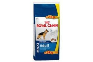 hondenbrokken royal canin