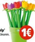 pen tulp