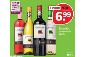 gatonegro