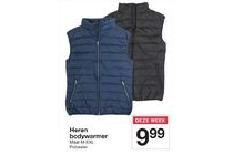 heren bodywarmer