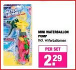 mini waterballon pomp