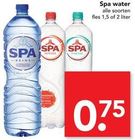 spa water