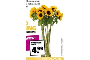 zonnebloemen