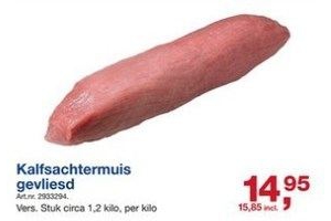 kalfsachtermuis gevliesd