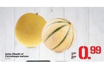 galia okashi of cantaloupe meloen